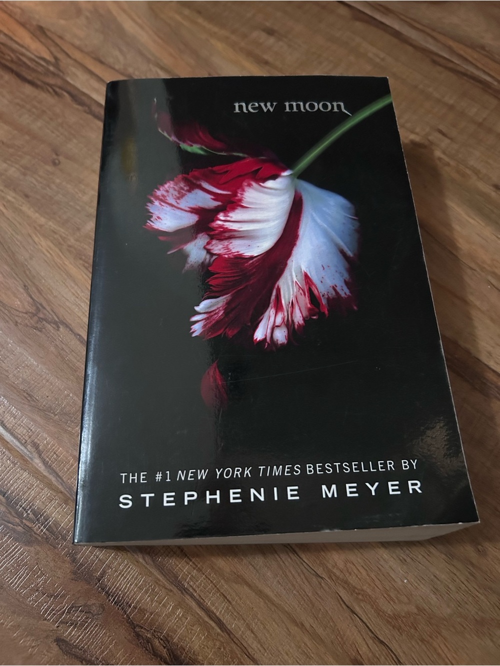 New Moon Book - Twilight